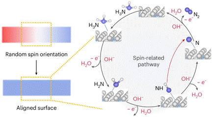 图示 AI 生成的内容可能不正确。